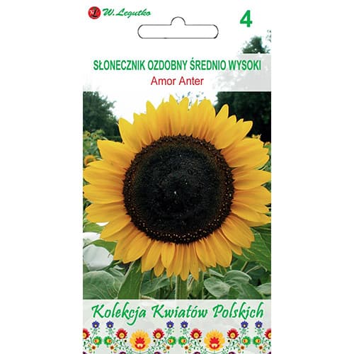 Ukrasni suncokret Amor Anter slika 1 interface.art 86733