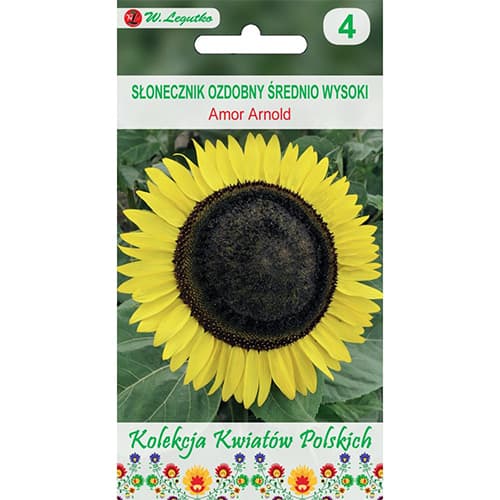 Ukrasni suncokret Amor Arnold slika 1 interface.art 86731