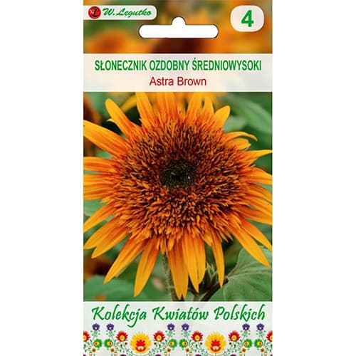 Ukrasni suncokret Astra Brown slika 1 interface.art 96746