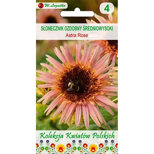 Ukrasni suncokret Astra Rose slika 1 interface.art 96748