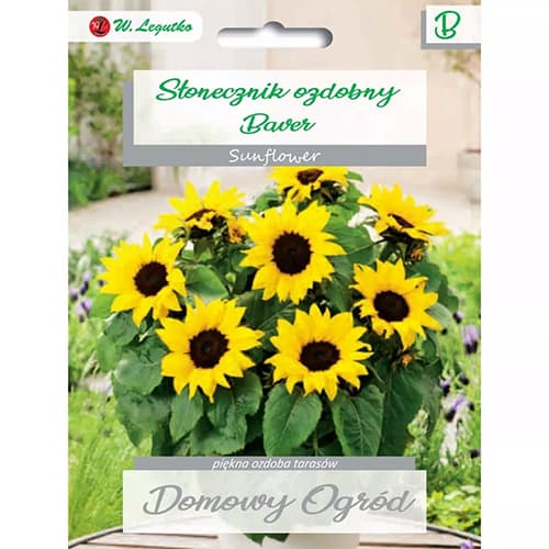 Ukrasni suncokret Baver slika 1 interface.art 69662