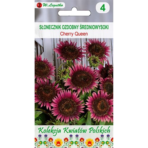 Ukrasni suncokret Cherry Queen slika 1 interface.art 96749