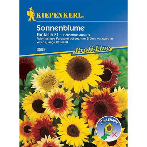 Ukrasni suncokret Fantasia F1 slika 1 interface.art 86320