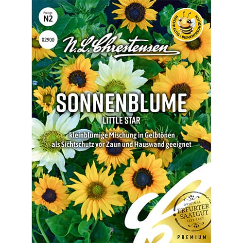 Ukrasni suncokret Little Star slika 1 interface.art 86189