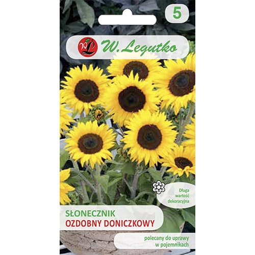 Ukrasni suncokret Polino Cola slika 1 interface.art 69627