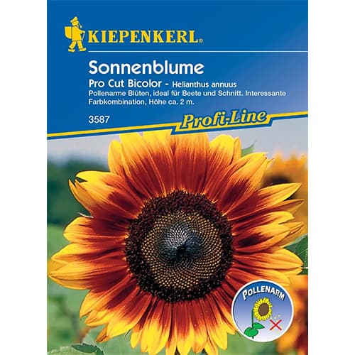 Ukrasni suncokret Pro Cut Bicolor F1 interface.art interface.photo 1 Ukrasni suncokret Pro Cut Bicolor F1 slika 1 interface.art 86326