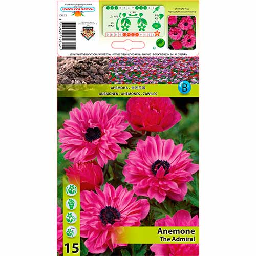 Šumarica The Admiral slika 1 interface.art 76168