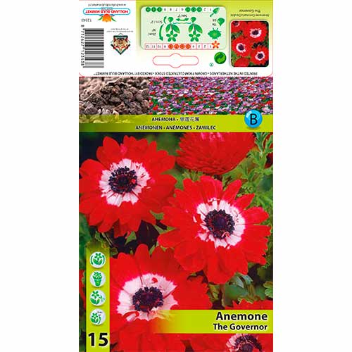 Šumarica The Governor slika 1 interface.art 76169