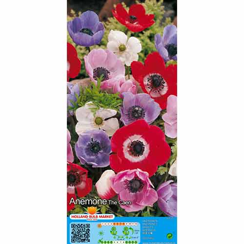 Šumarica De Caen Mixed slika 1 interface.art 76170