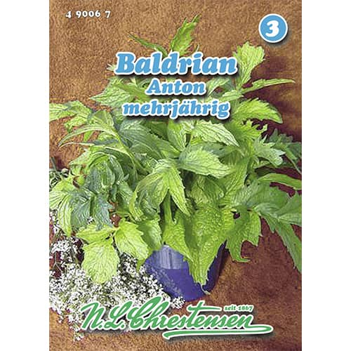 Valerijana Anton slika 1 interface.art 96463