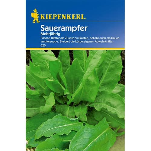 Velika kiselica, višegodišnja slika 1 interface.art 77474