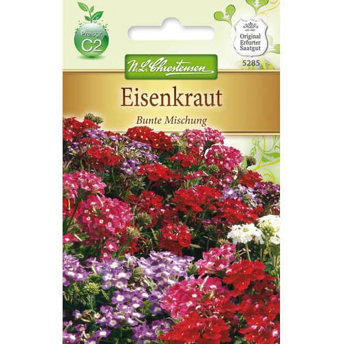 Verbena Colorfull, mix multicolor slika 1 interface.art 78947