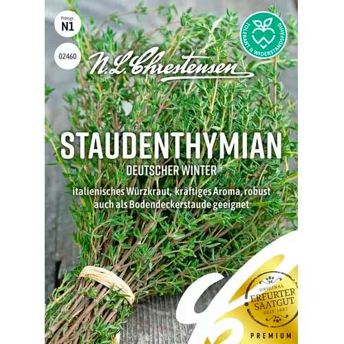 Višegodišnji timijan Deutscher Winter slika 1 interface.art 50056