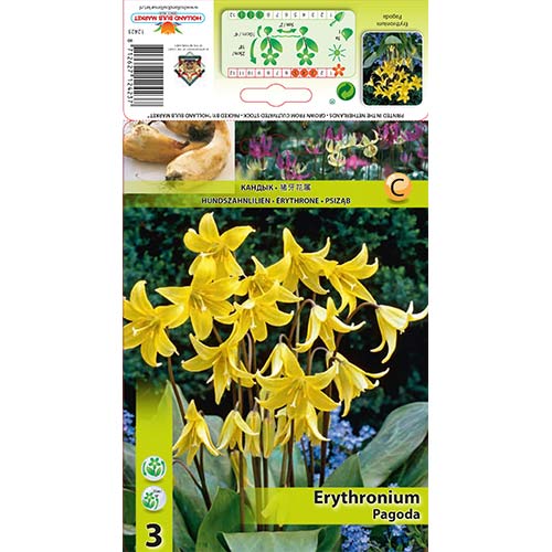 Volvod veliki Pagoda interface.art interface.photo 1 Volvod veliki Pagoda slika 1 interface.art 67350