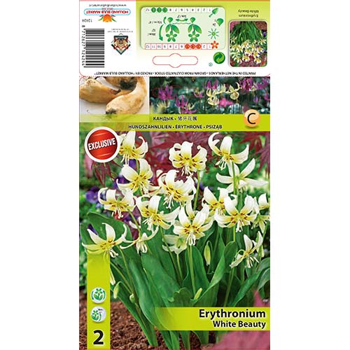 Volvod veliki White Beauty interface.art interface.photo 1 Volvod veliki White Beauty slika 1 interface.art 67351