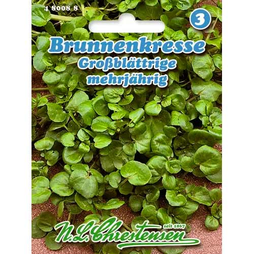 Vrtna grbaštica slika 1 interface.art 96599