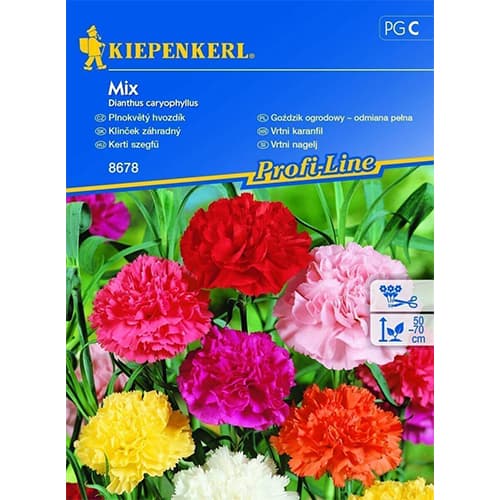 Vrtni karanfil, višebojna mješavina slika 1 interface.art 96527