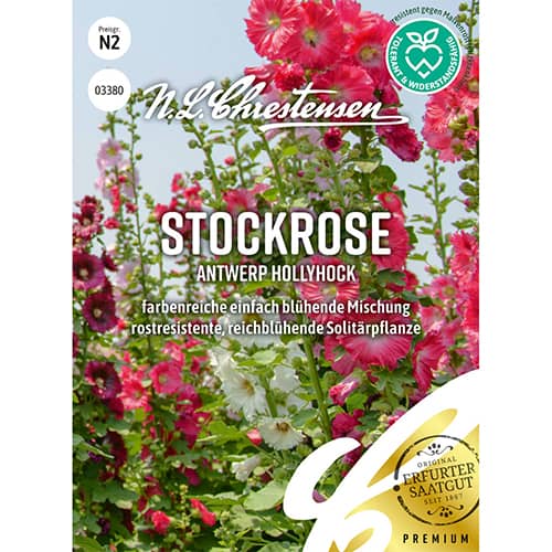 Vrtni sljez Antwerp Hollyhock slika 1 interface.art 86197