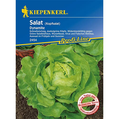 Zelena salata Dynamite slika 1 interface.art 86461