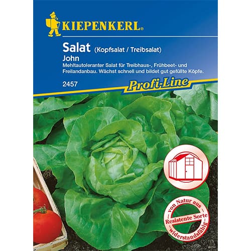 Zelena salata John interface.art interface.photo 1 Zelena salata John slika 1 interface.art 96626