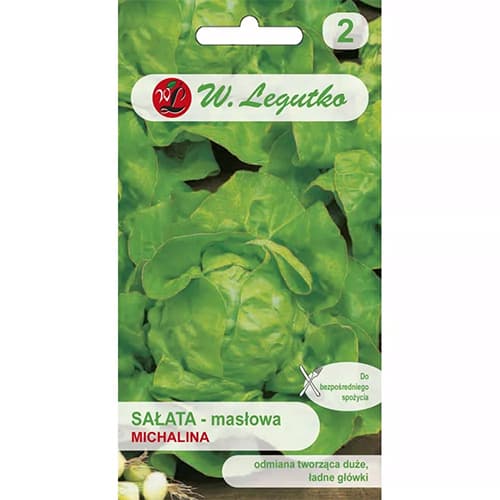 Zelena salata Michalina interface.art interface.photo 1 Zelena salata Michalina slika 1 interface.art 86901