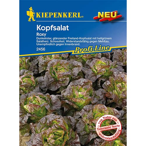 Zelena salata Roxy slika 1 interface.art 96627