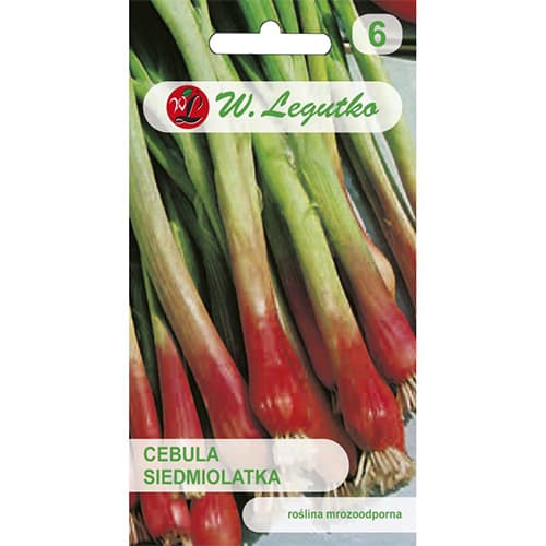 Zeleni luk Red Toga slika 1 interface.art 78452