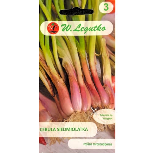 Zeleni luk Winter Nest slika 1 interface.art 78451