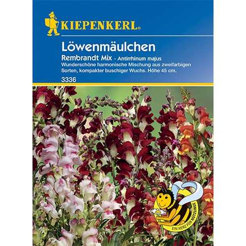 Zijevalica Rembrandt slika 1 interface.art 86286