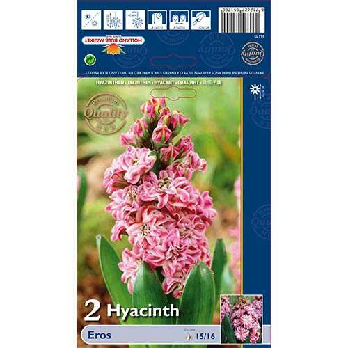 Zumbul Double Eros slika 1 interface.art 67591