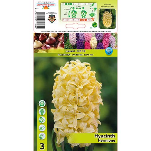 Zumbul Hermione slika 1 interface.art 70271