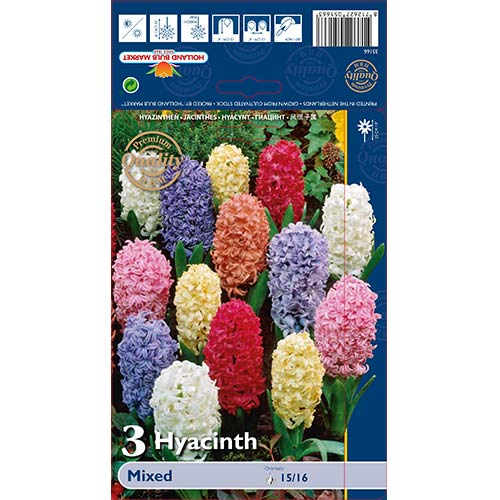 Zumbul Spring Bloomers Mixed slika 1 interface.art 67598