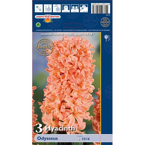 Zumbul Odysseus slika 1 interface.art 68010