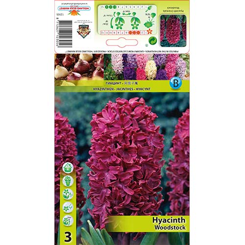 Zumbul Woodstock slika 1 interface.art 67584