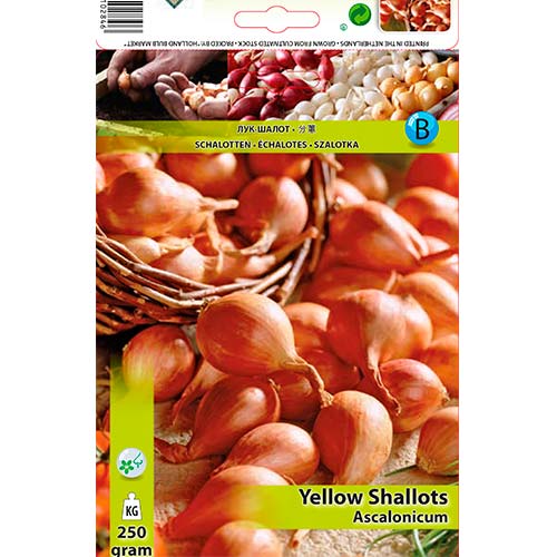 Žuti luk slika 1 interface.art 70498