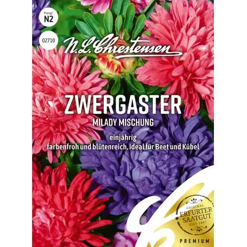 Zvijezdan Milady, mix multicolor slika 1 interface.art 87825