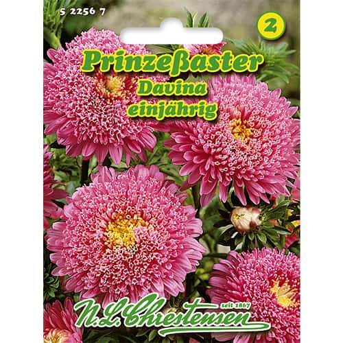 Zvijezdan Princess Davina slika 1 interface.art 86138