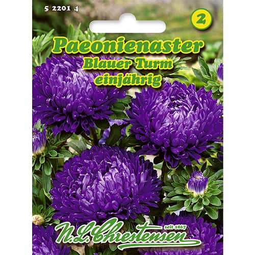 Zvijezdan tip bojor, Blue Tower slika 1 interface.art 86134