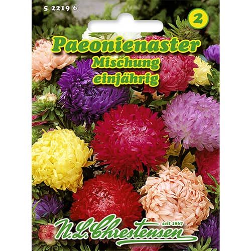 Zvijezdan tip bujor, mix multicolor slika 1 interface.art 86135