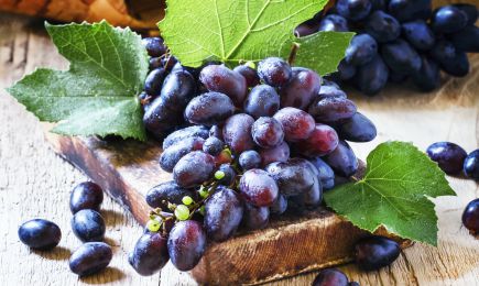 Bogat okus | GrădinaMax