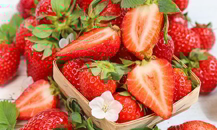 Medeni užitak | GrădinaMax