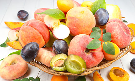 Mini vrtna terasa | GrădinaMax