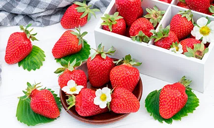 Neobičan desert | GrădinaMax