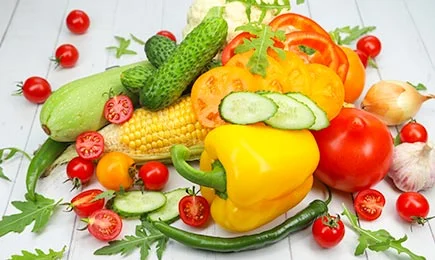 Novosti sezone | GrădinaMax