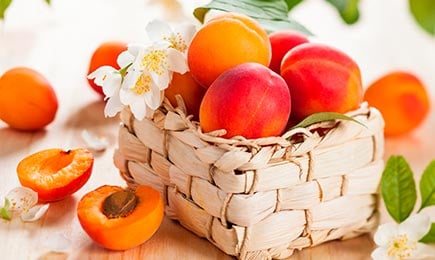 San svih gurmana | GrădinaMax