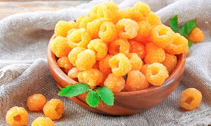 Slatke bobice | GrădinaMax