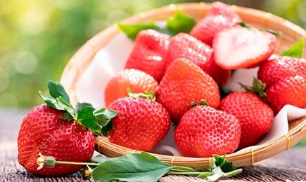 Sreća sladokusaca | GrădinaMax