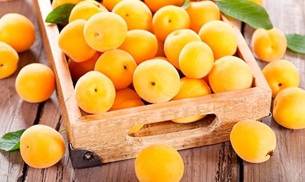 Slatko, sočno, plodno | GrădinaMax