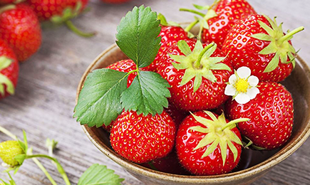 Sreća sladokusaca | GrădinaMax