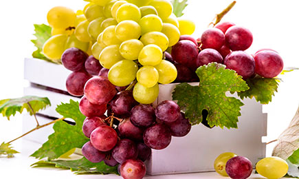 Vlastiti vinograd | GrădinaMax